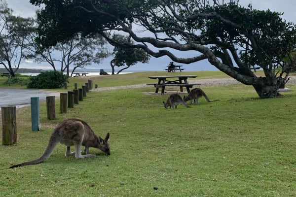 Photo by Mercedes W.