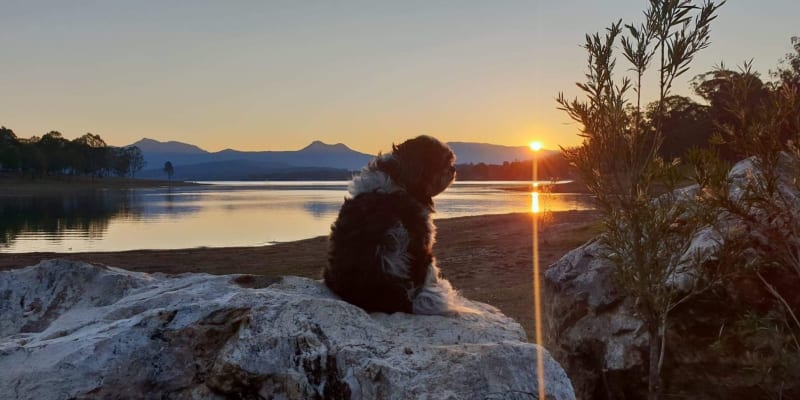 Photo of Camp Moogerah