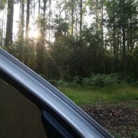 Photo by Christina W.