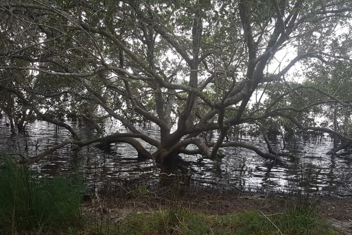 Photo by Adventure A.