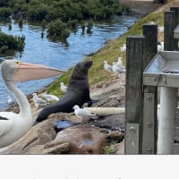 Photo by Dtravellers