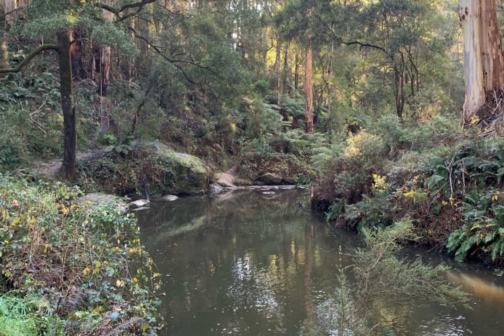 Photo by Brooklyn E.