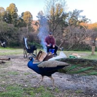 Photo by Hadleigh S.