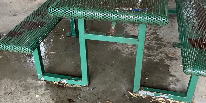 Photo by TassieTraveller