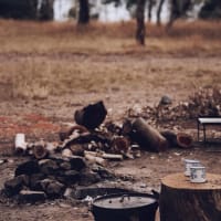 Photo by Wildflower and her Wildlings