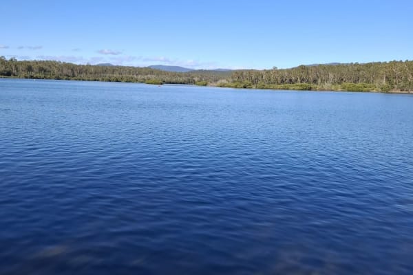 Photo by Kimberly K.