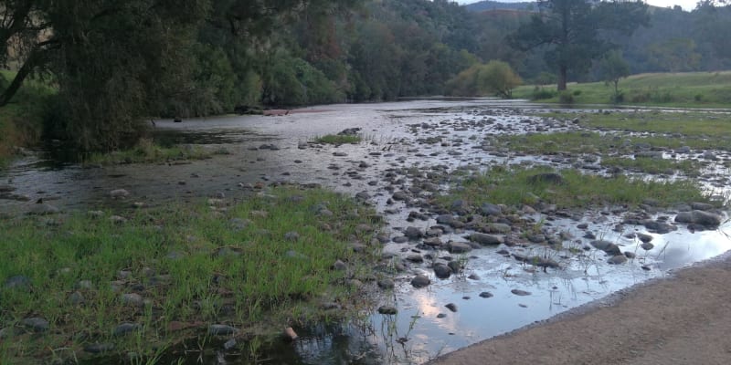 Photo by Michelle Clair Ovenden