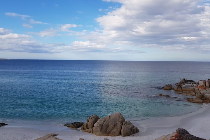 Photo by Christopher H.