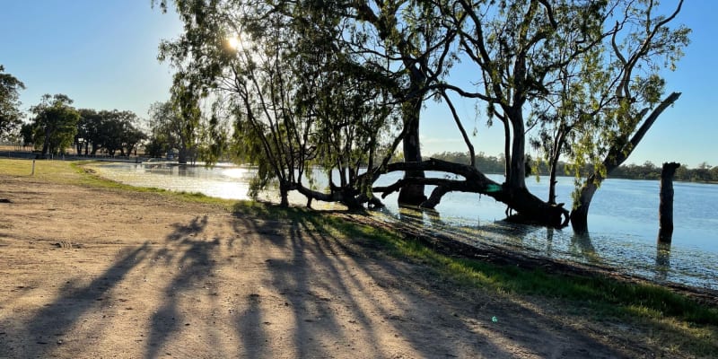 Photo by Caroline P.