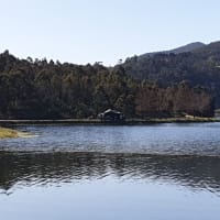 Photo by Michelle S.