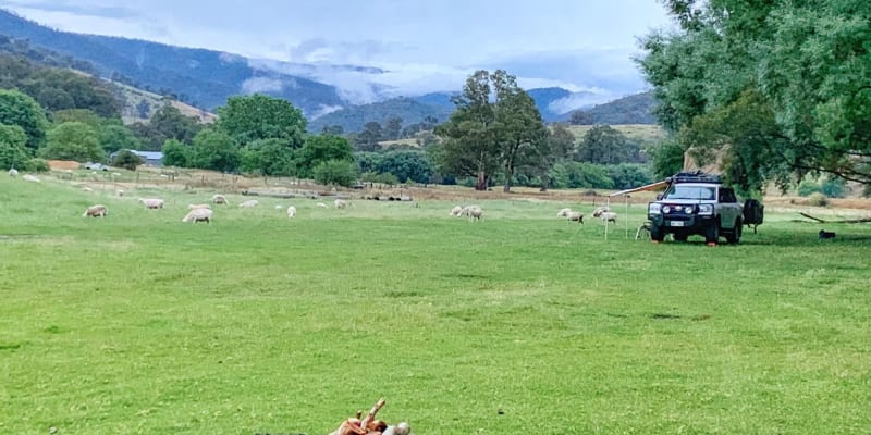 Photo by Off The Trax