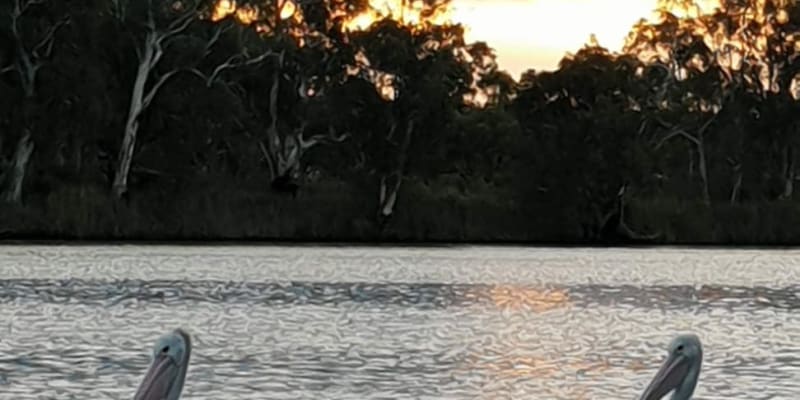 Photo by Michelle D.