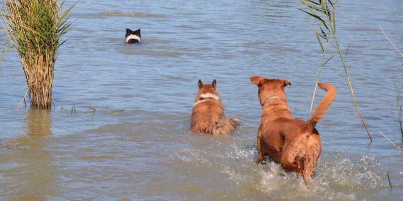 Photo by @ode2theroad