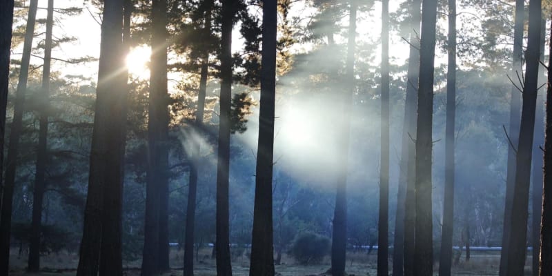 Photo by Brucethegoose