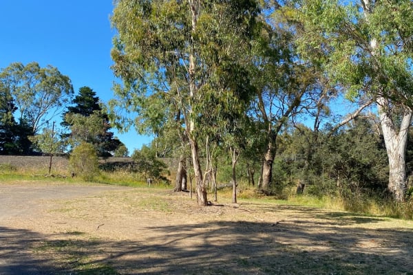 Photo by Jennifer K.