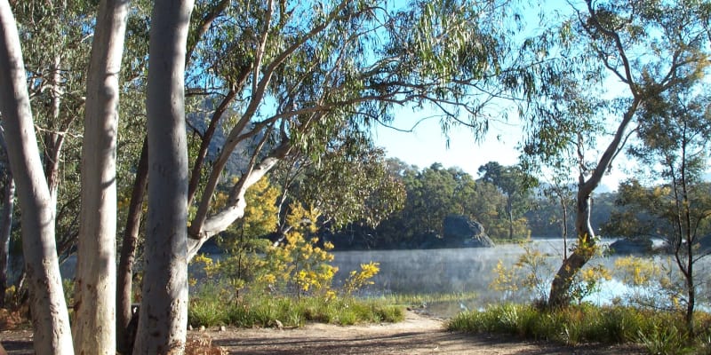 Photo of Ganguddy-Dunns Swamp campground