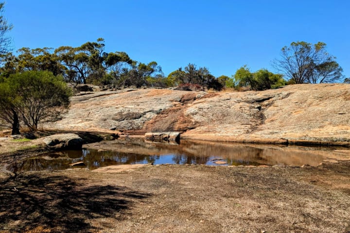 Photo by IndianOceanGuy