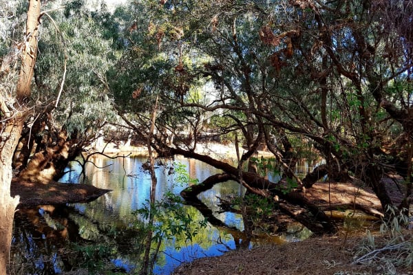 Photo by My Rig Adventures