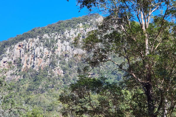 Photo by Charmayne R.