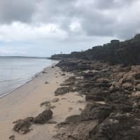 Photo by Michelle C.