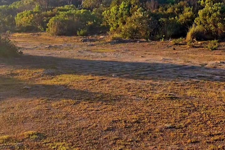 Photo by Helen de la Perrelle