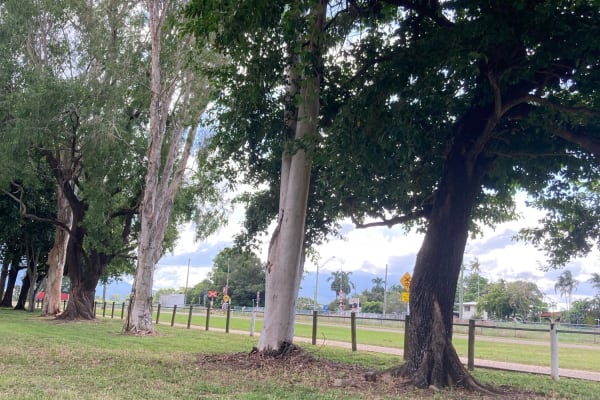 Photo by Lee-Anne F.