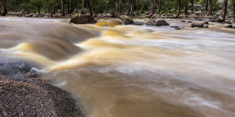 Photo by Dylan Bob Dwyer