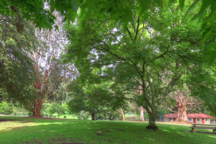 Photo by [deleted user]