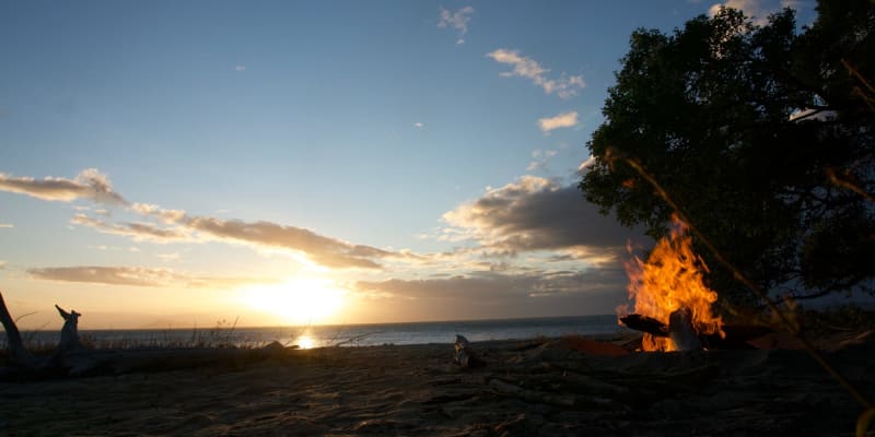 Photo of Oystercatcher Camping