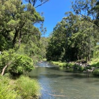 Photo by E N Kt Street