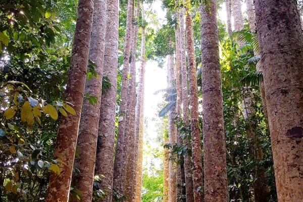 Photo by My Rig Adventures