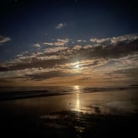 Photo by Kristina D.