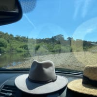 Photo by Stephanie K.