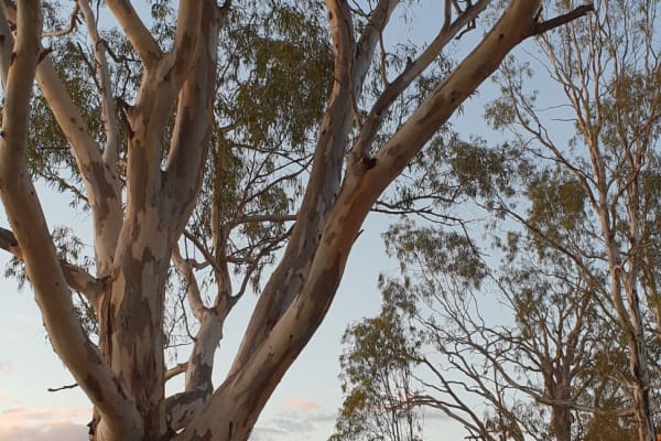 Photo by Michelle D.