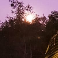 Photo by Terri Le Terour