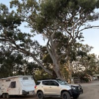 Photo by AnnMaree M.