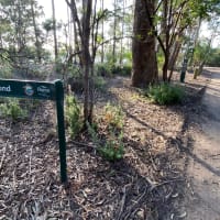 Photo by Chris Titan Topher