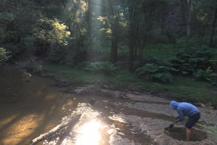 Photo by Tracy N David Ross