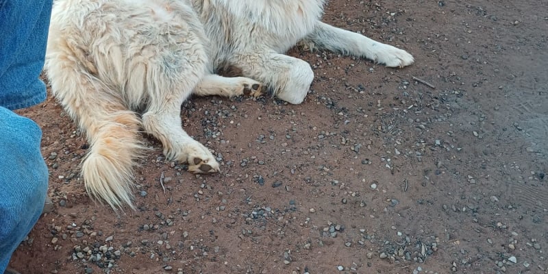 Photo by NightRanger D.