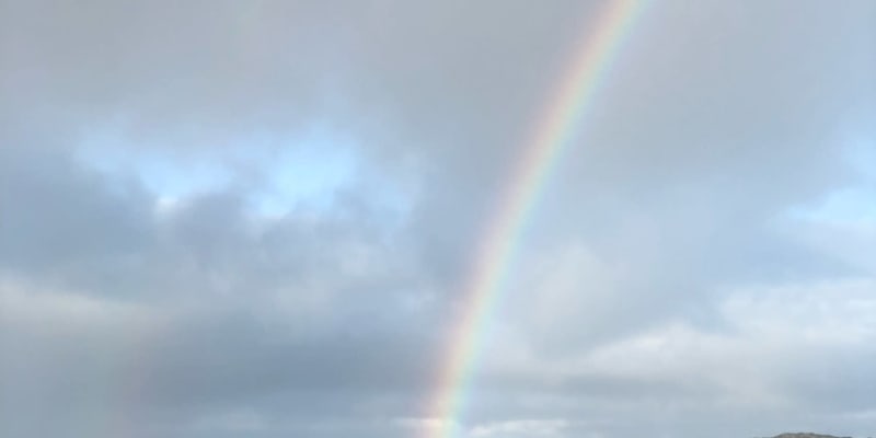 Photo by Brucethegoose