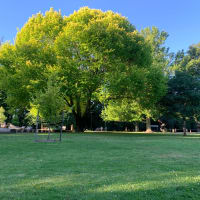 Photo by Deon Rizwan De Silva