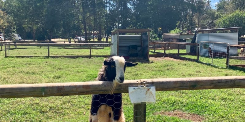 Photo by Corporate to Caravan