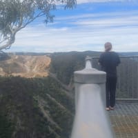 Photo by ★Mimosa☆Turlinjah★