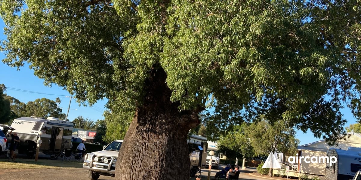 Tambo Mill Motel & Caravan Park