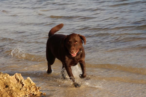 Photo by Four Hands in a Tin Can