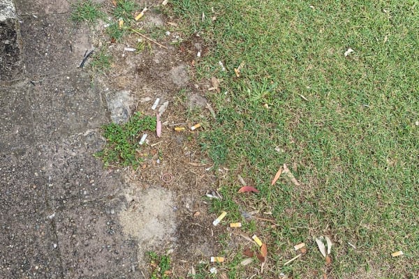 Photo by Louise Le Roux