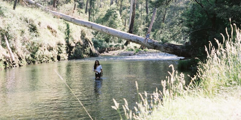 Photo of Running Creek Reserve