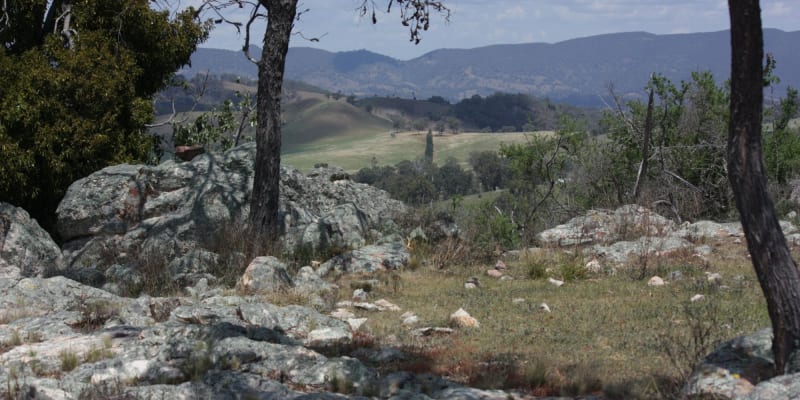 Photo by Sally E NAGEL