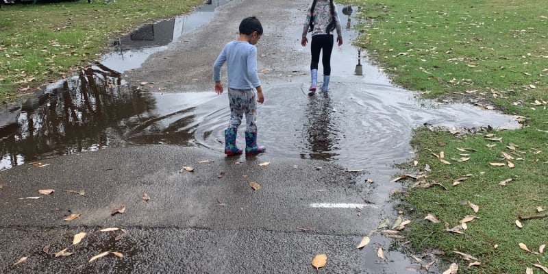 Photo by Krishantha E.