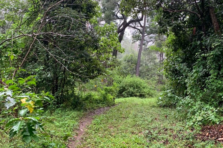 Photo by Off The Trax